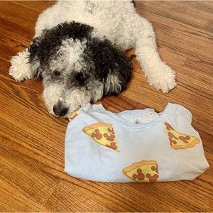 Disney Mens Shirt Extra Large Mickey Mouse Pizza Short Sleeve Pepperoni Blue